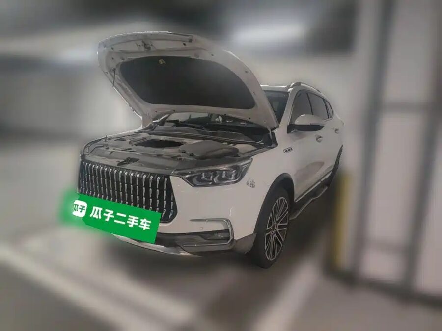 Leopaard Mattu, 2018 — фото продавца с che168