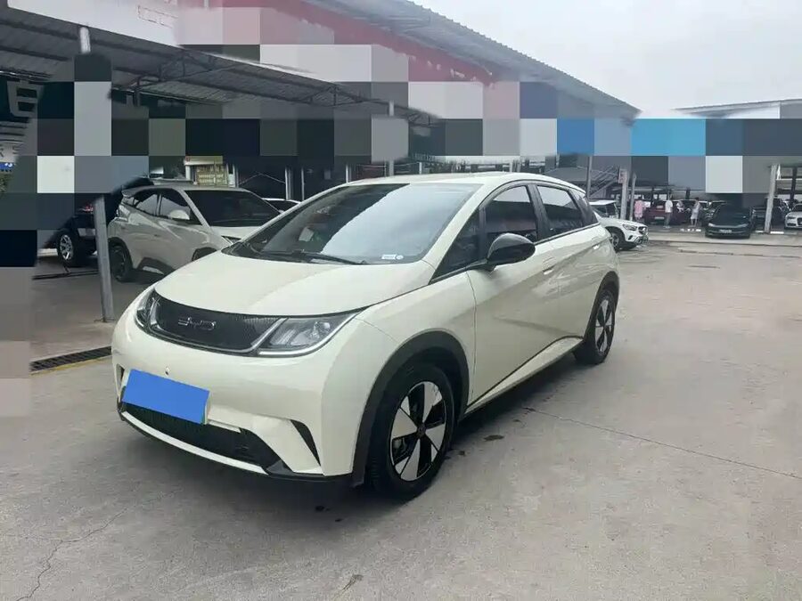 BYD Dolphin, 2024 — фото продавца с che168