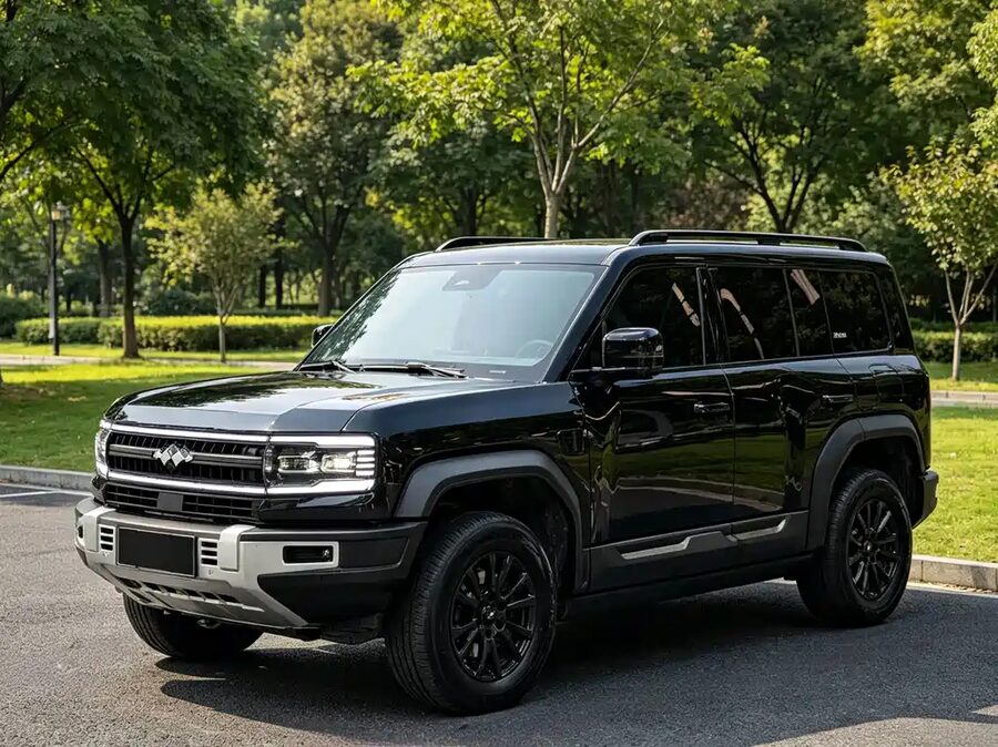 Fang Cheng Bao Leopard 5, 2024 — фото продавца с che168