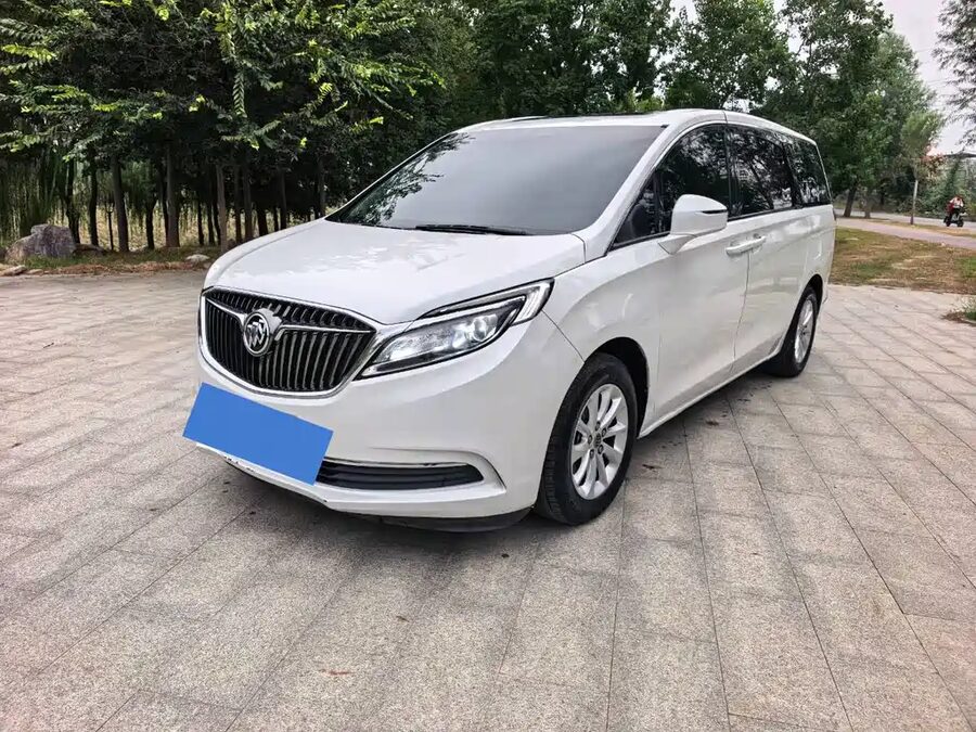 Buick GL8, 2018 — фото продавца с che168