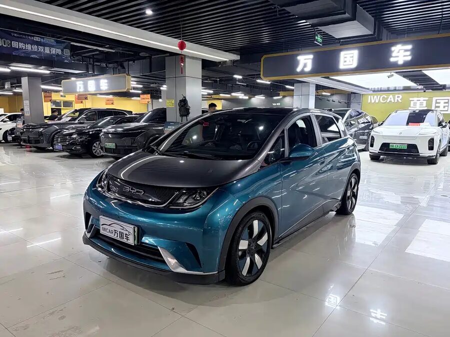BYD Dolphin, 2021 — фото продавца с che168