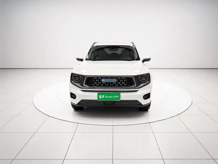 Haval Big Dog PLUS New Energy, 2023 — фото продавца с che168