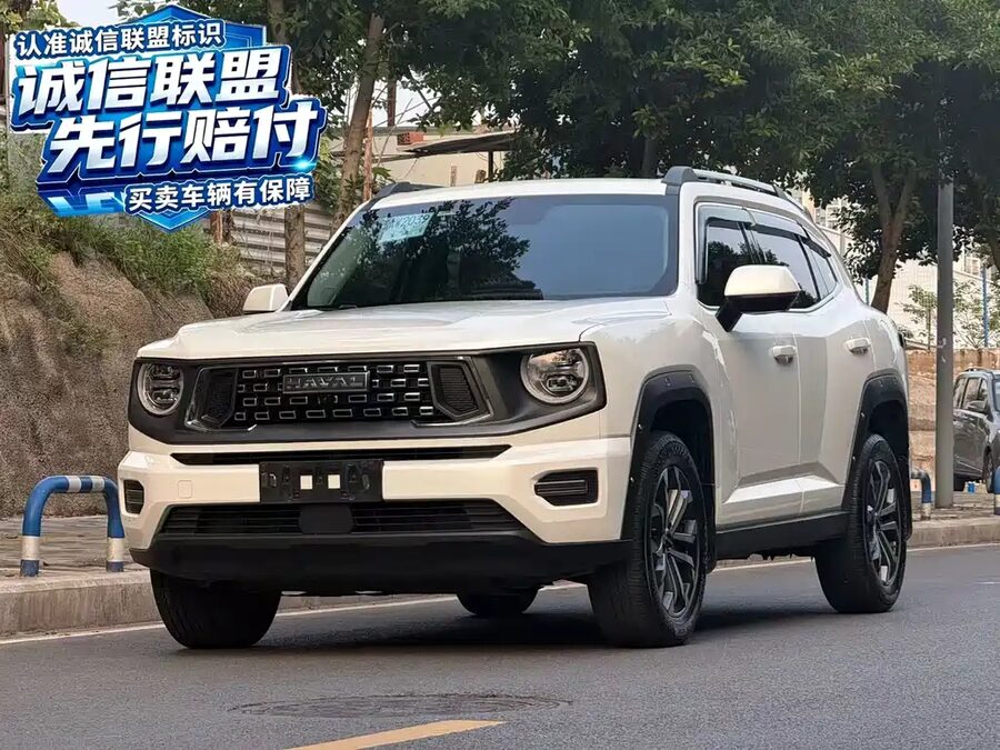 Haval Big Dog PLUS, 2024 — фото продавца с che168
