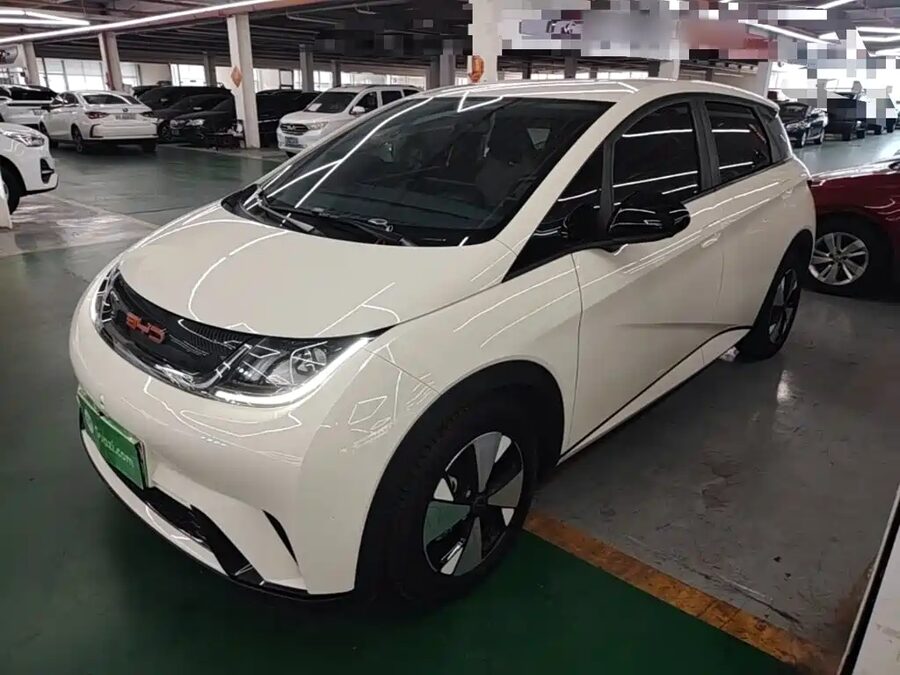 BYD Dolphin, 2023 — фото продавца с che168