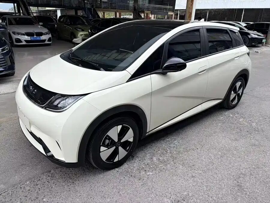 BYD Dolphin, 2023 — фото продавца с che168