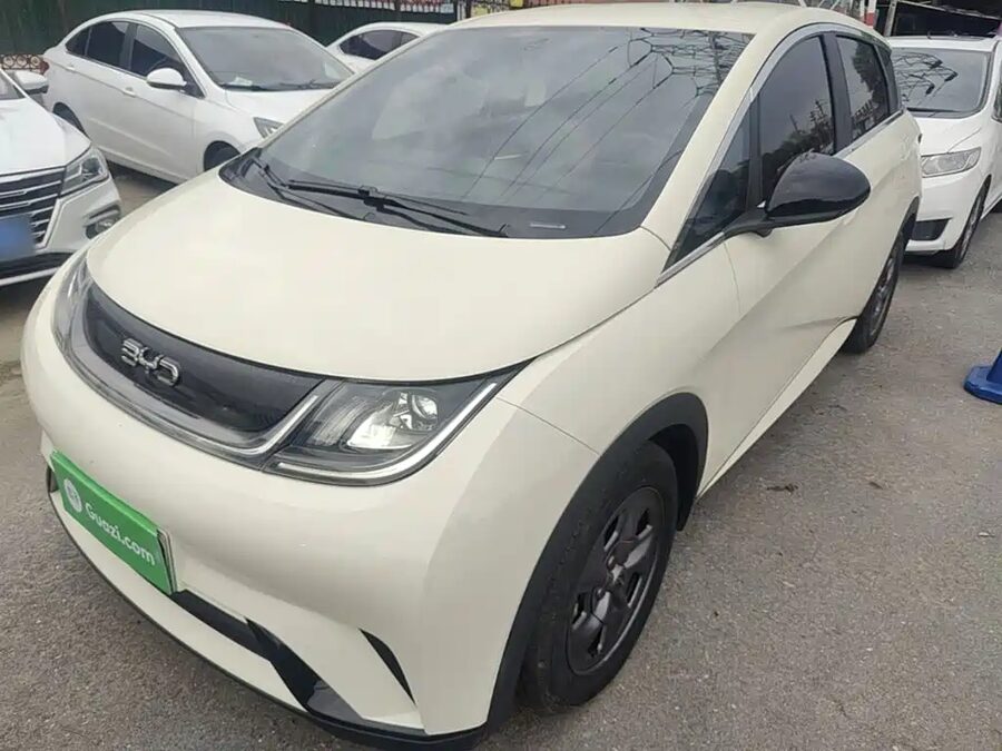 BYD Dolphin, 2024 — фото продавца с che168