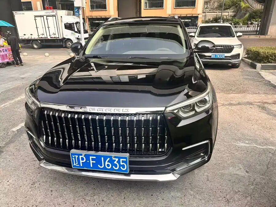 Leopaard Mattu, 2019 — фото продавца с che168