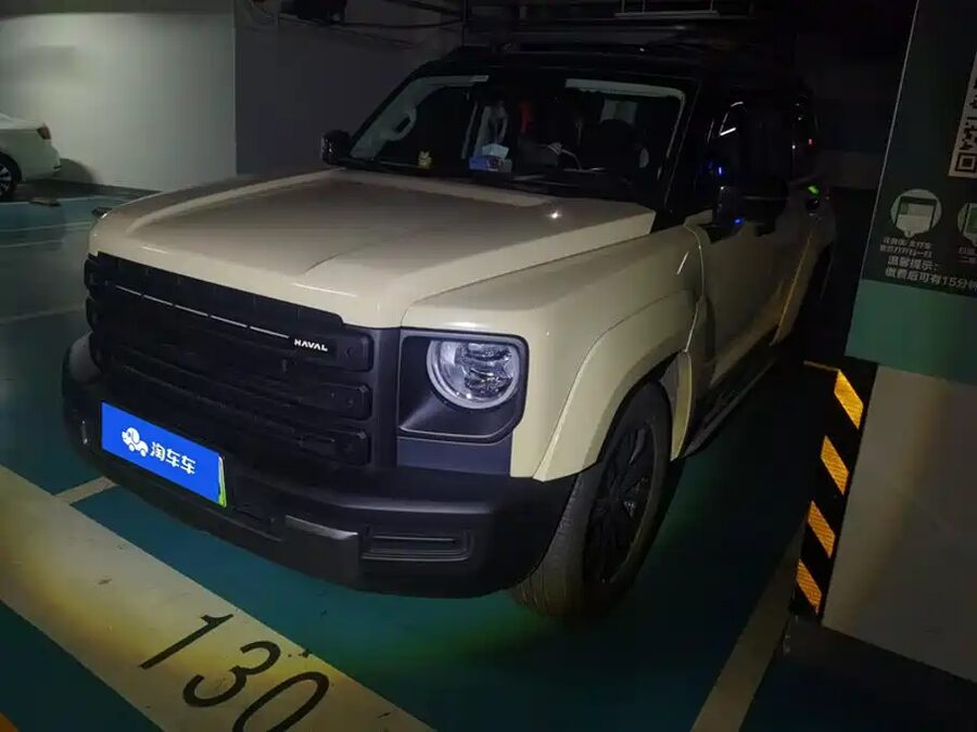 Haval Menglong New Energy, 2024 — фото продавца с che168