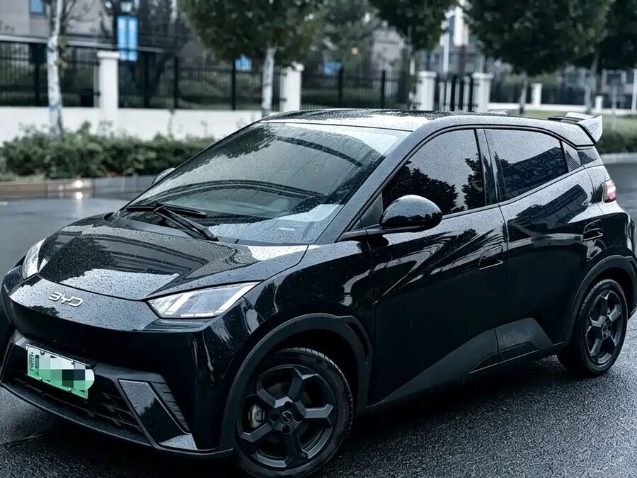 BYD Seagull, 2024 — фото продавца с che168