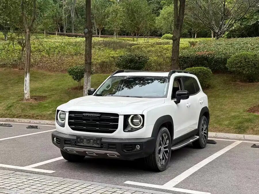 Haval Big Dog, 2020 — фото продавца с che168
