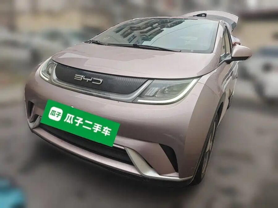 BYD Dolphin, 2024 — фото продавца с che168