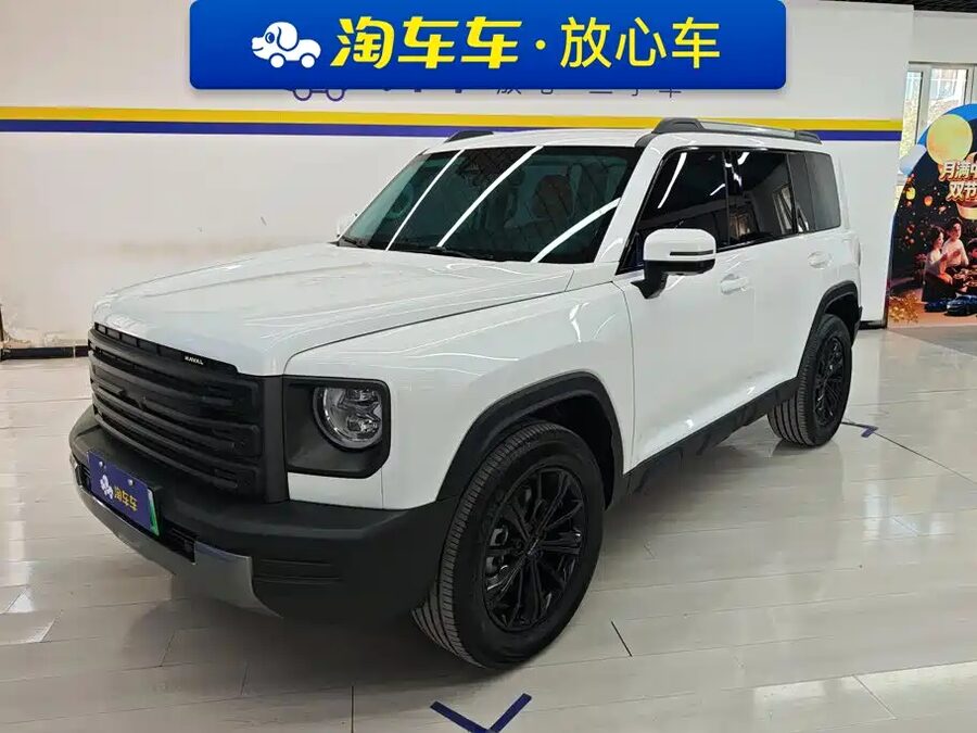 Haval Menglong New Energy, 2024 — фото продавца с che168