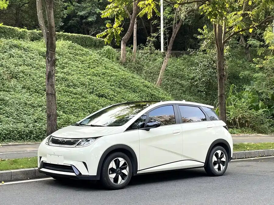 BYD Dolphin, 2024 — фото продавца с che168