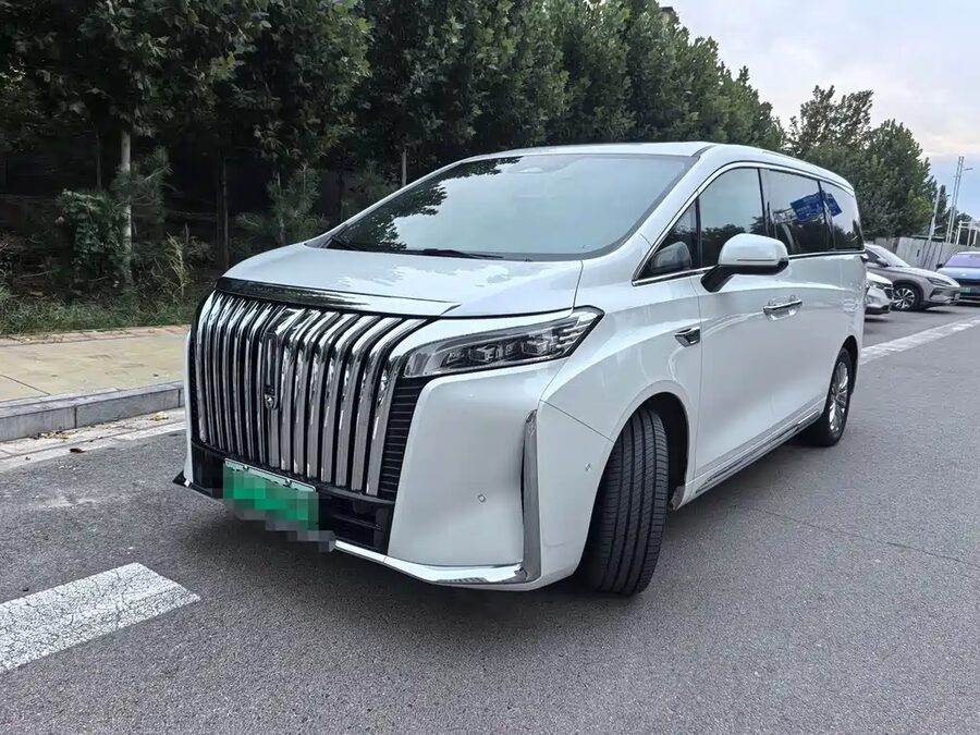 Wey Wey Gaoshan New Energy, 2023 — фото продавца с che168
