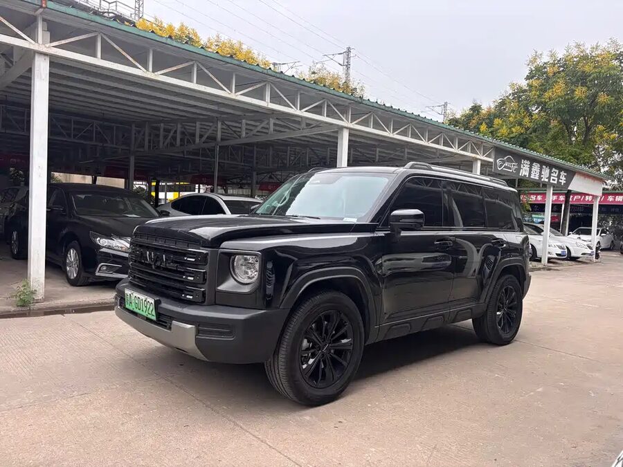 Haval Menglong New Energy, 2024 — фото продавца с che168