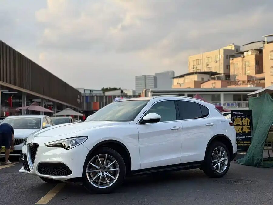 Alfa Romeo Stelvio, 2019 — фото продавца с che168