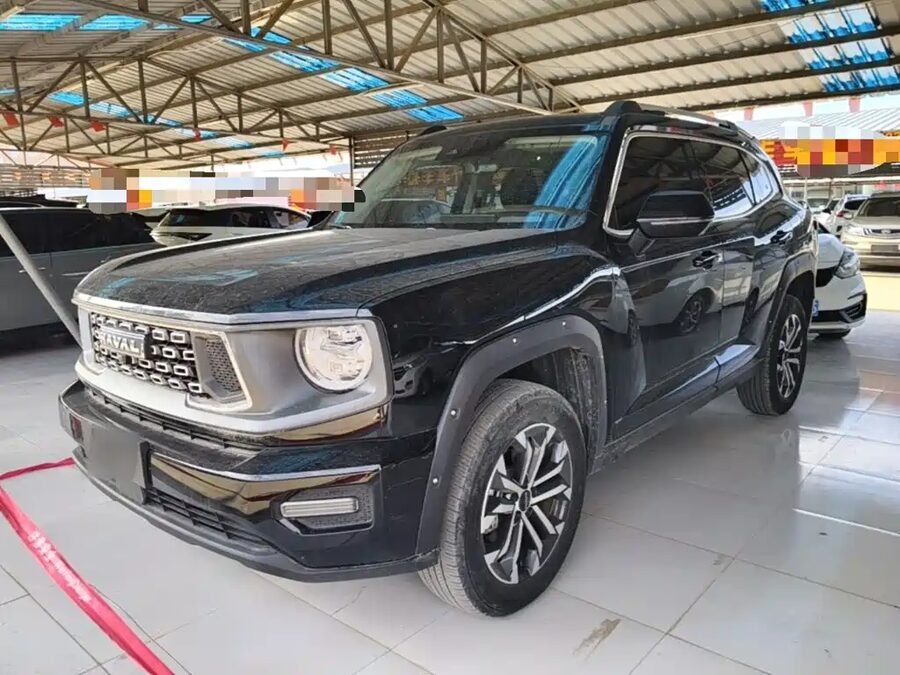Haval Big Dog PLUS, 2023 — фото продавца с che168
